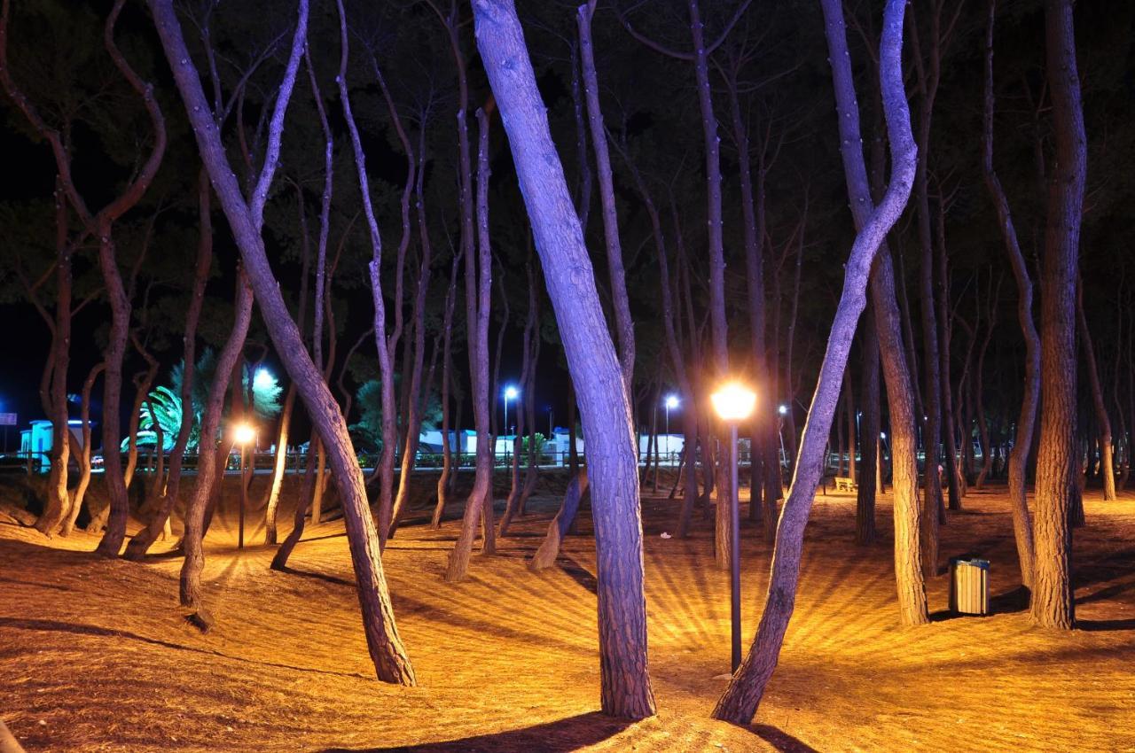 Ostello La Stazione Alba Adriatica Exterior foto
